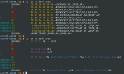 Featured image of post Colorize and List IPs